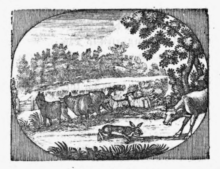 Hare woodcut by Thomas Bewick, from the fable of The Hare and Many Friends