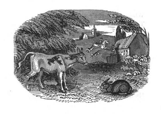 Hare engraving by John Bewick, 1842 edition